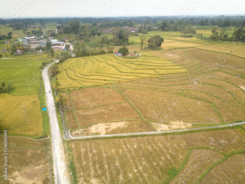 Rice fields on terraced of Siantar, North Sumatra. Indonesia landscapes