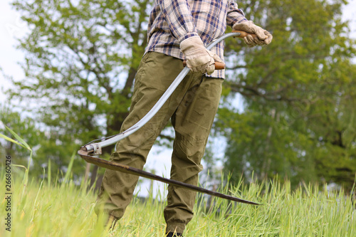 Fotografie to harvesting a field with old scythe