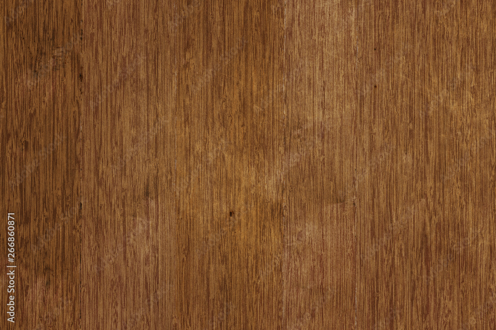 acacia timber tree wooden surface wallpaper structure texture background acacia timber tree wooden surface wallpaper structure texture background