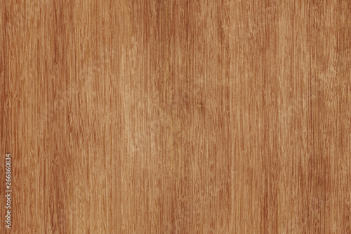 acacia timber tree wooden surface wallpaper structure texture background
