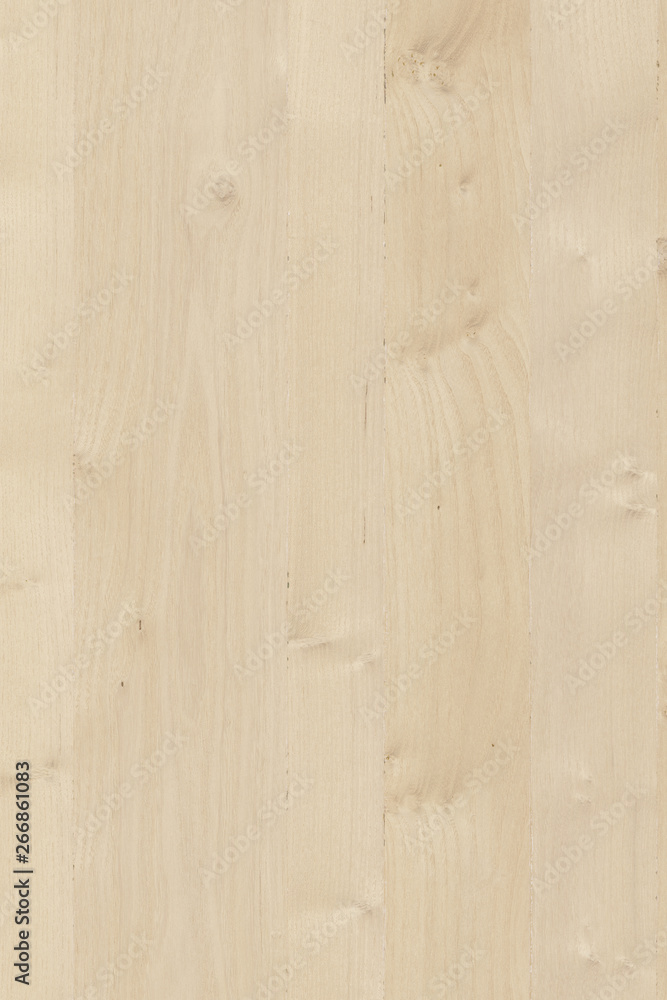 acacia wooden timber tree surface wallpaper structure texture background high size acacia wooden timber tree surface wallpaper structure texture background high size