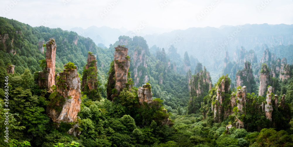 Panoramic landscape in Zhangjiajie National Forest Park in Hunan Province, China - obrazy, fototapety, plakaty 