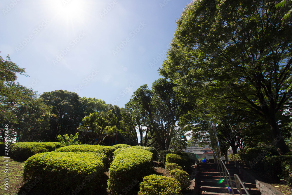 東京の下町にあるどこか風情のある公園
