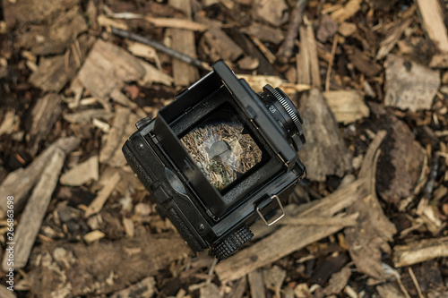 Wallpaper Mural Old photographic equipment, can be used as a background, web banner with space for text Torontodigital.ca