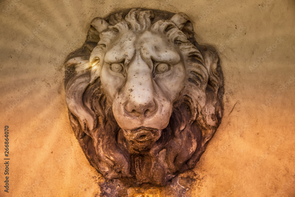 Stone Lion on a fountain in Fiesole Stone Lion on a fountain in Fiesole