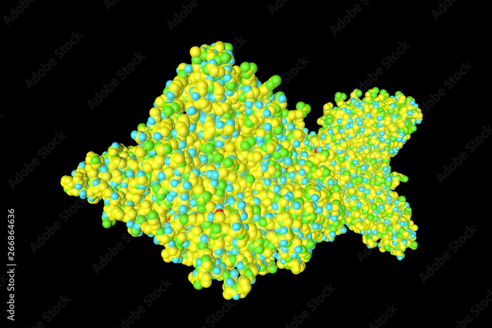 ภาพประกอบสต็อก Molecular structure of pertussis toxin produced by ...