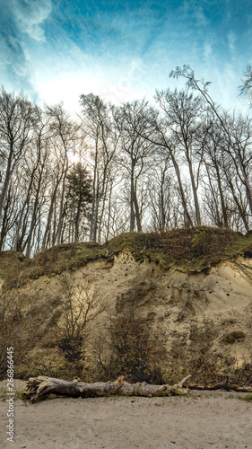 Steilufer mit herabgestürztem Baum