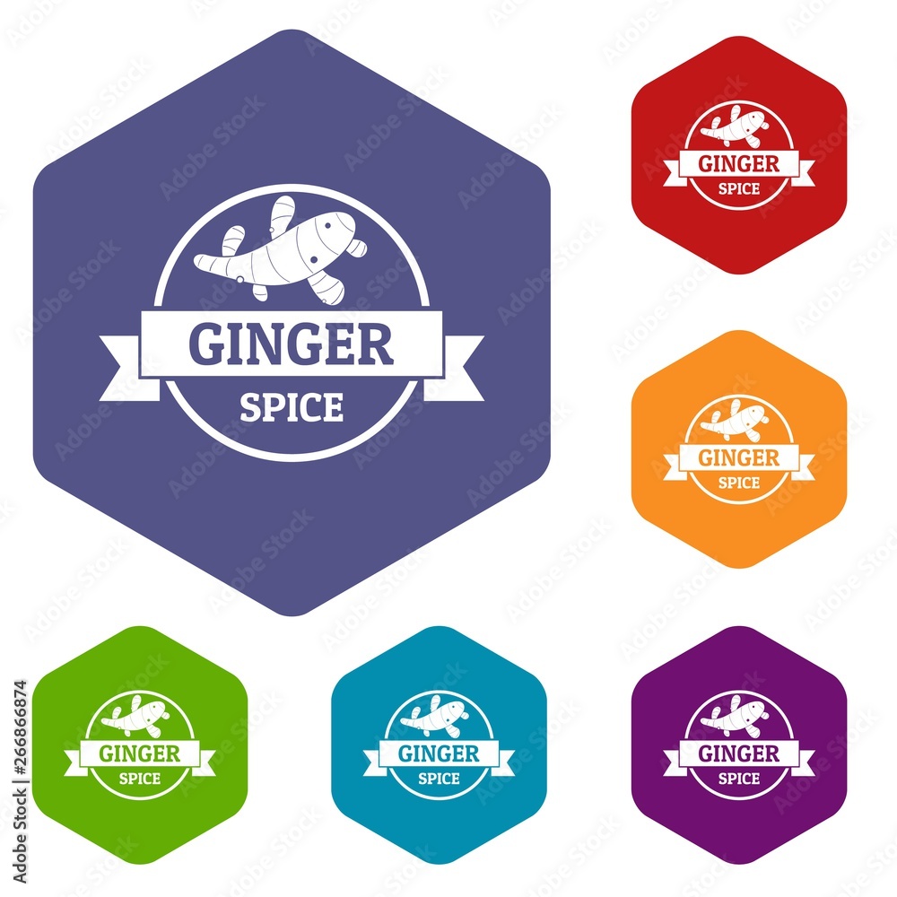 Fototapeta premium Ginger spice icons vector colorful hexahedron set collection isolated on white 
