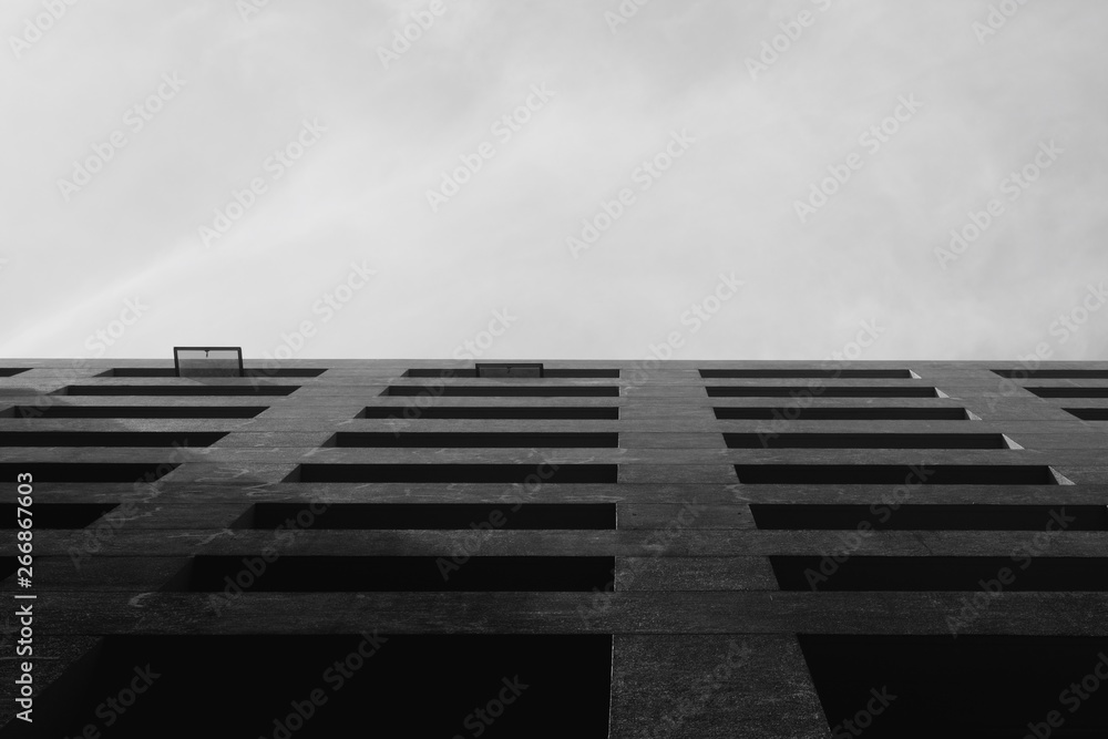 Fototapeta premium Vintage black and white building background