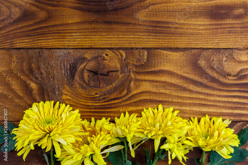 Yellow chrysanthemums on wooden background. Top view, copy space