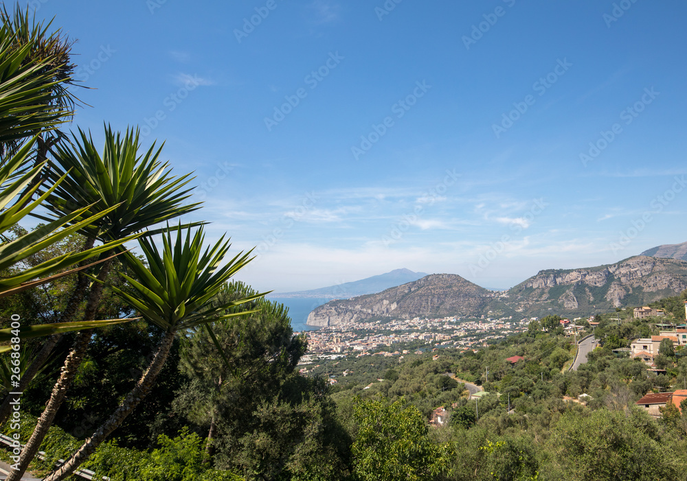 Palm tree with the Gulf of Naples and Vesuvius in the background Palm tree with the Gulf of Naples and Vesuvius in the background