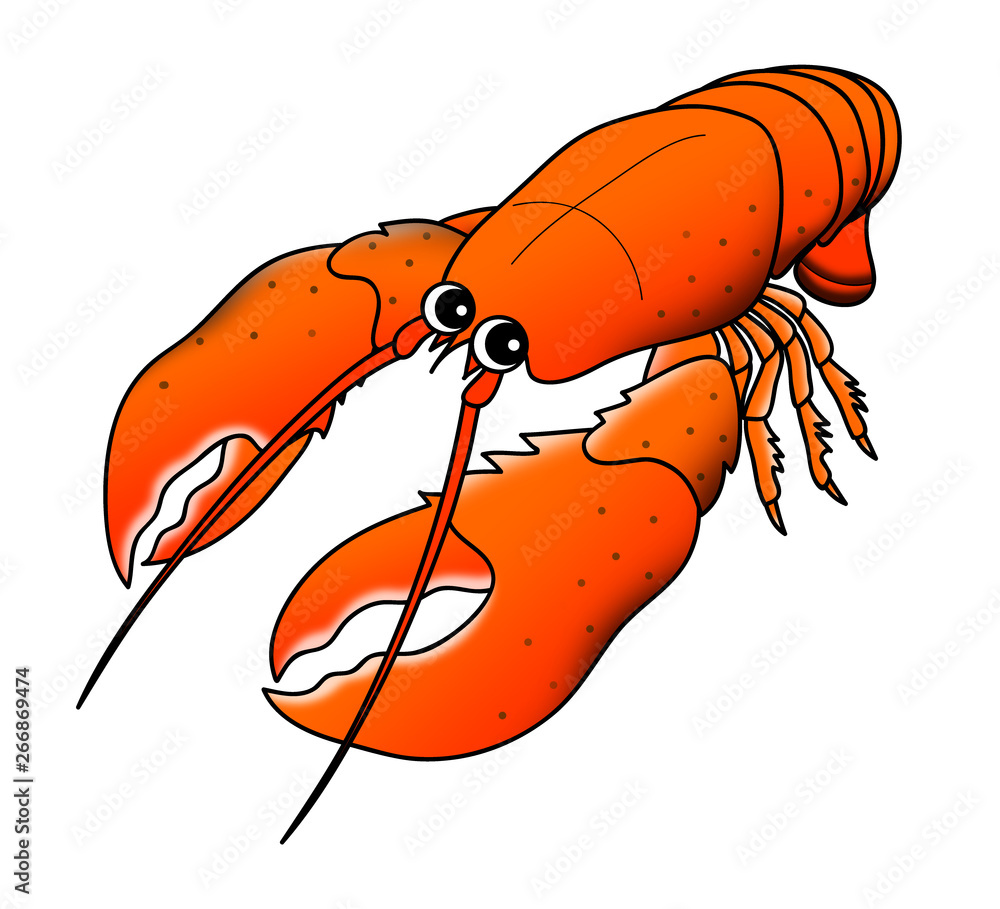 Best アメリカイセエビ Images Stock Photos Vectors Adobe Stock