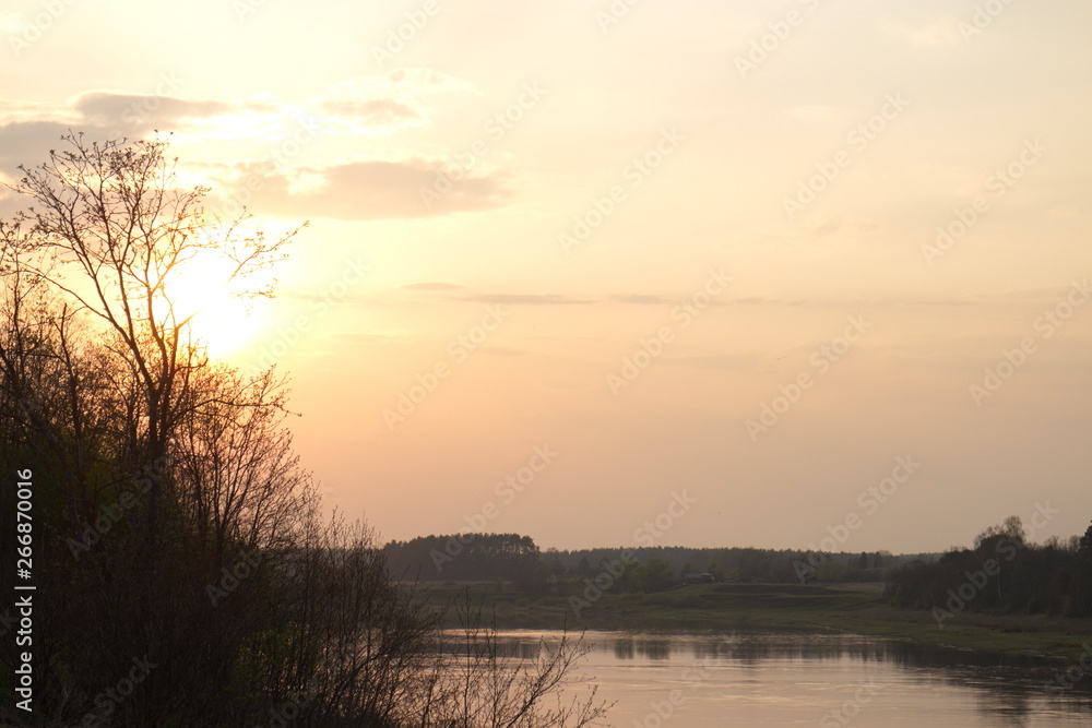 Spring sunny evening in the country