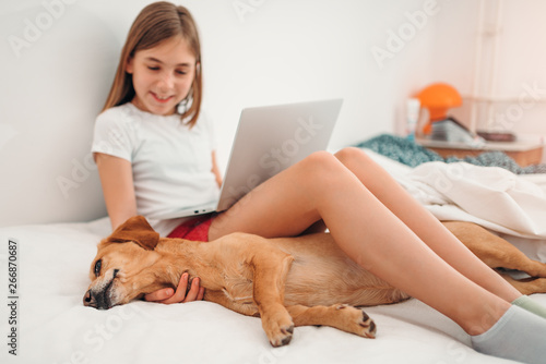 Dog sleeping in the bed by the girl working on laptop