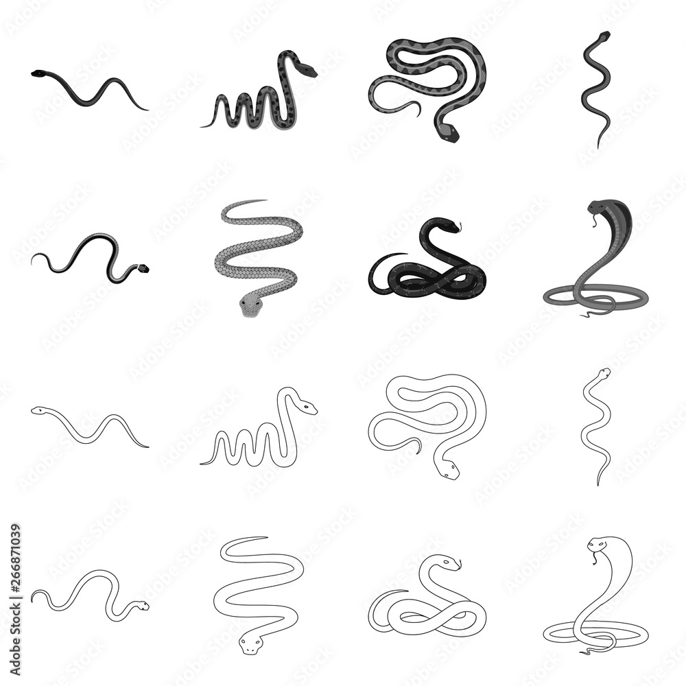 Vector illustration of mammal and danger icon. Set of mammal and medicine vector icon for stock. Vector illustration of mammal and danger icon. Set of mammal and medicine vector icon for stock.
