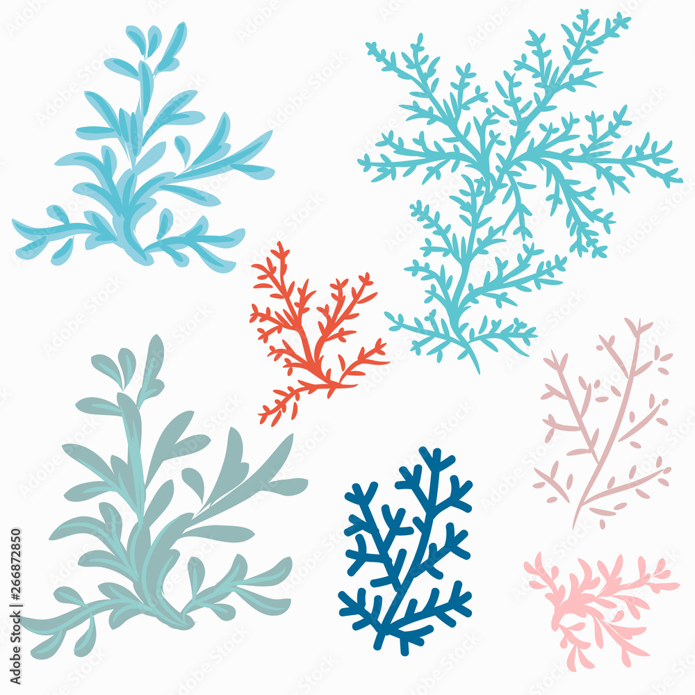 Fototapeta premium Collection of vector corals for design