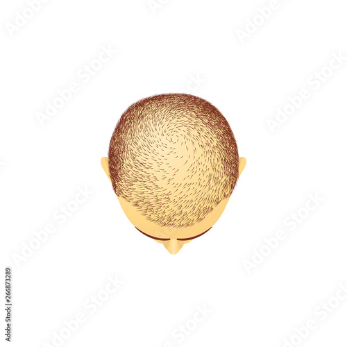 Top view of male head with baldness cartoon style