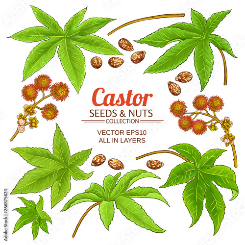 castor elements set