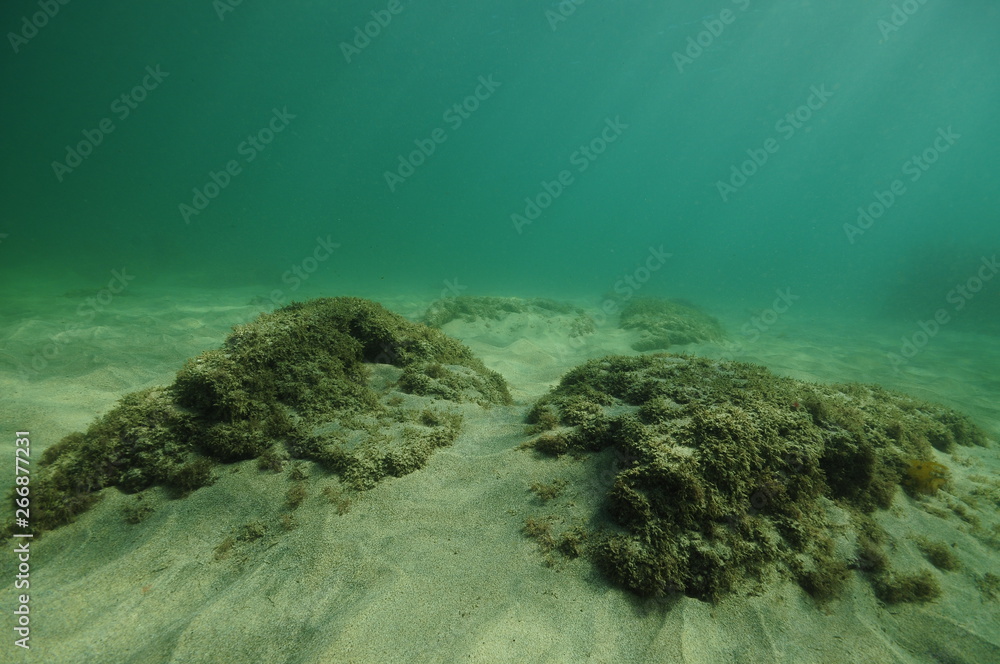 Flat sandy sea bottom with protruding rock reef.