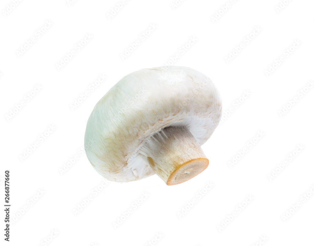 Fototapeta premium Mushroom champignon isolated on white background