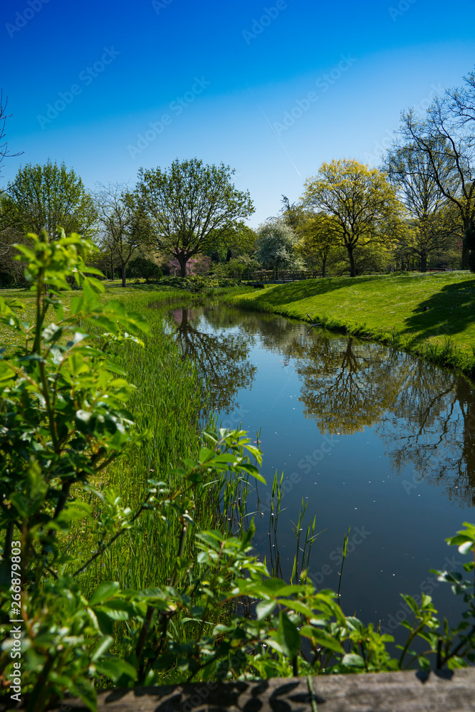 reflection of trees in ditch. public park, arboretum Munnike Park in Zwijndrecht, The Netherlands