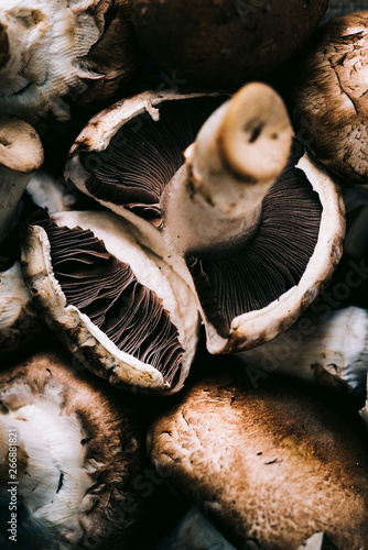 frische Champignon Pilze nahaufnahme von oben fotografiert detailreich 
