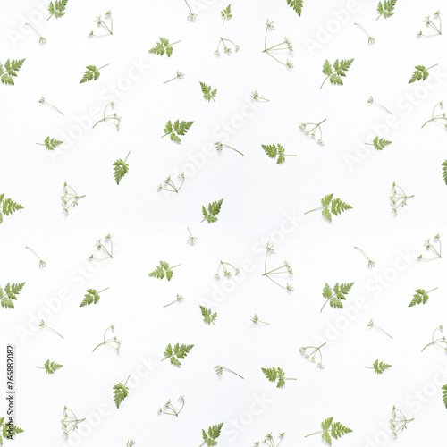 Floral pattern made of green leaves, branches on white background. Flat lay, top view. Valentine's background.  Pattern of flowers. Flowers pattern texture © Natalya Chumak