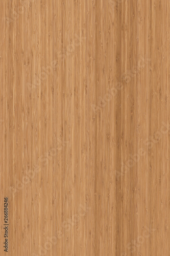 natural light brown oak tree wood surface structure texture background high size