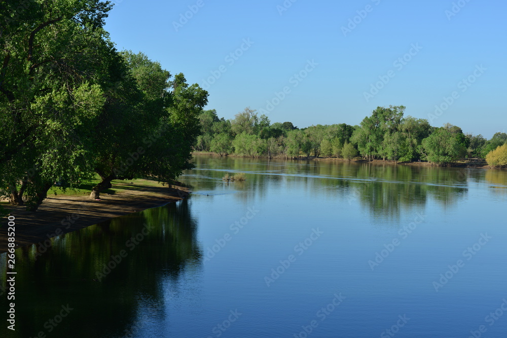 Discovery Park in Sacramento in late spring. Discovery Park in Sacramento in late spring.