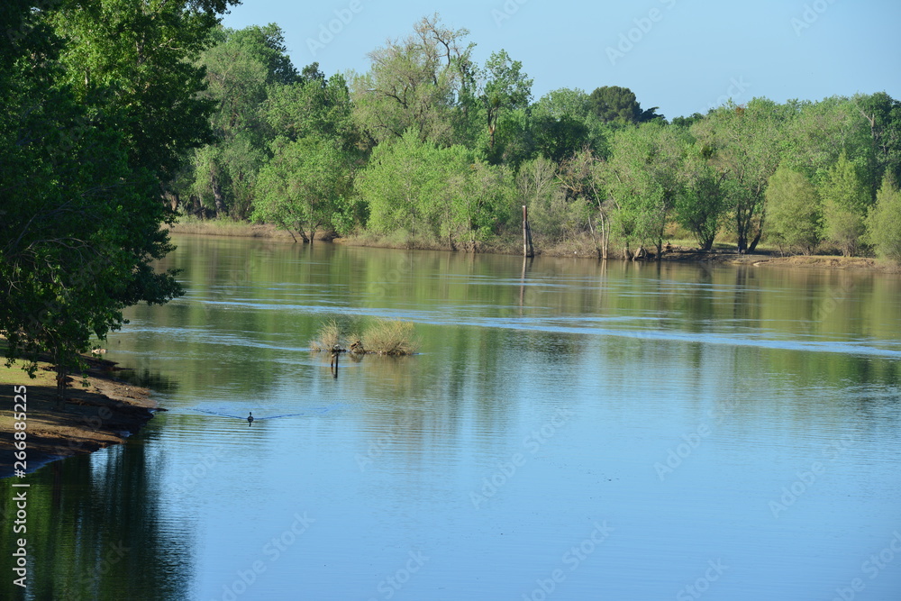 Discovery Park in  Sacramento in late spring.