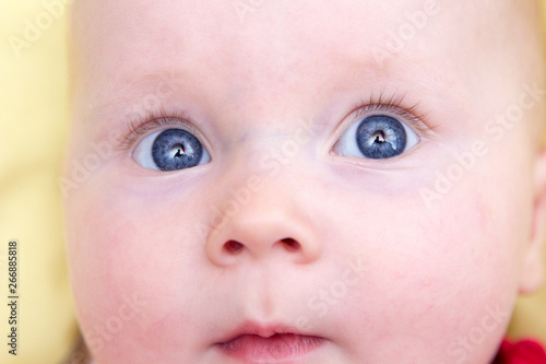newborn baby blue eyes Portrait of a beautiful baby with blue eyes close-up