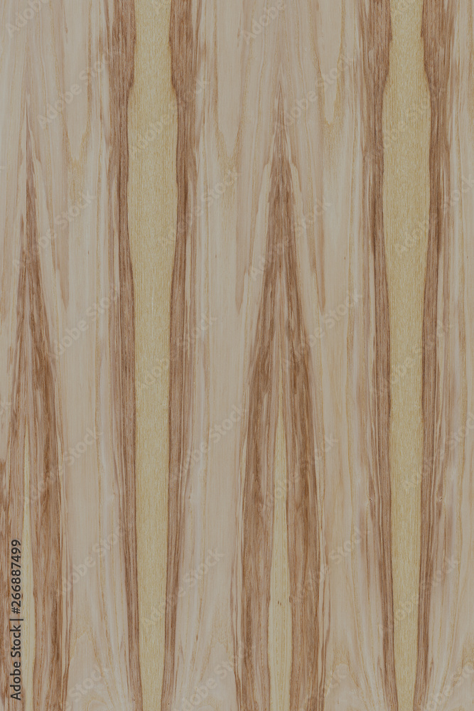 ash-tree tree timber wood surface wallpaper structure texture background ash-tree tree timber wood surface wallpaper structure texture background