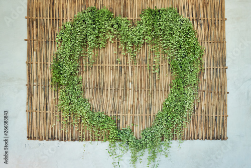 Dave Plant In Heart Shape Hang On Bamboo Board photo