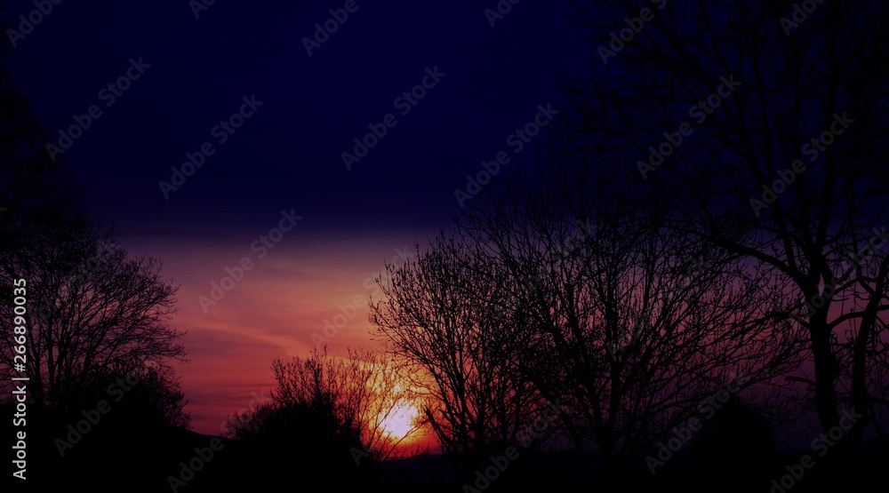 the sun sets among the trees the sun sets among the trees