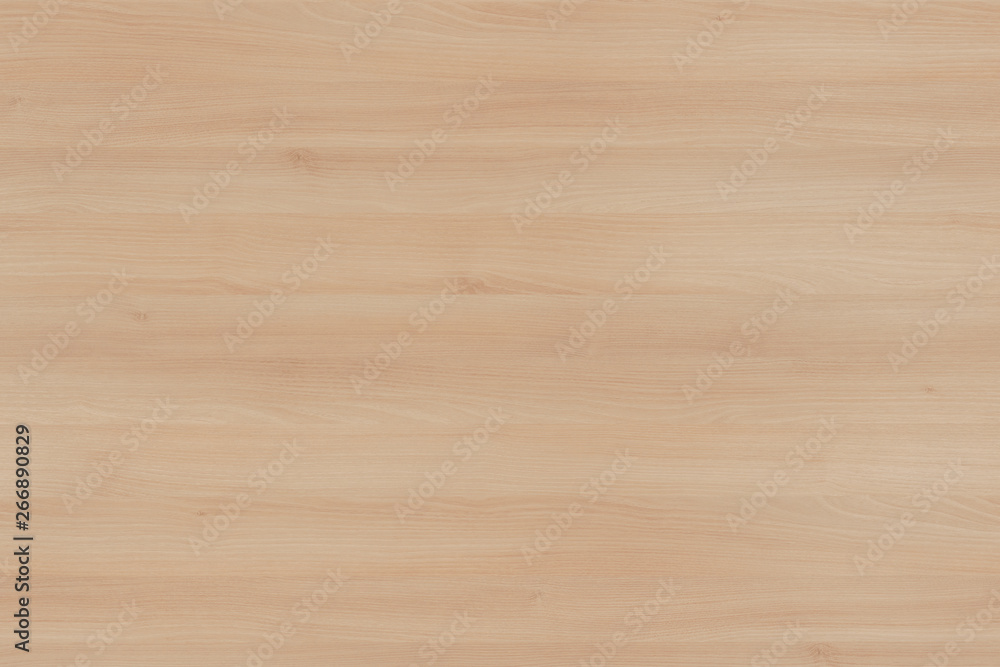 Fototapeta premium light brown tree wood wallpaper structure texture background pattern
