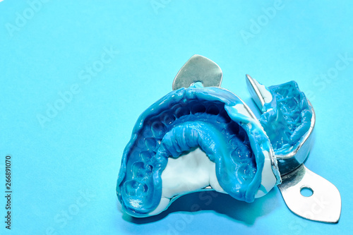 Wallpaper Mural Two dental impressions on a blue background with copy space. Dental molds from the upper and lower jaws of silicone material. The imprint of the tooth row of high precision. Torontodigital.ca