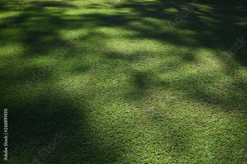 Abstract shaded and mottled lawn grass textured background