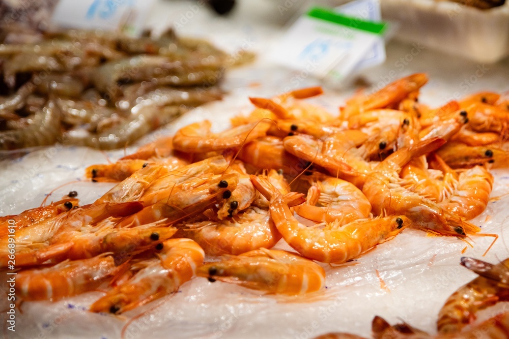 Raw fresh seafood langoustines Raw fresh seafood langoustines