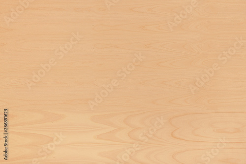 light brown tree wood wallpaper structure texture background pattern