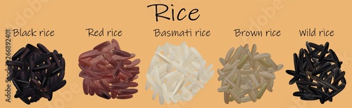 Rice set. Black, red, basmati, brown, wild. Vectric 3d illustration, rice close-up.
