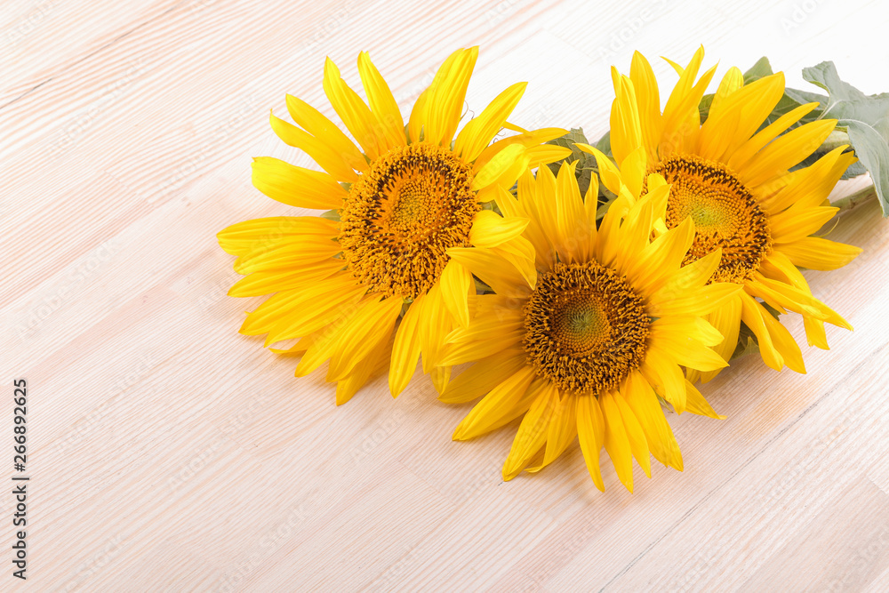 Obraz premium Several beautiful yellow sunflowers with a leaf on a natural wooden background