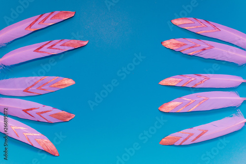 decorative feathers on blue background with copy space