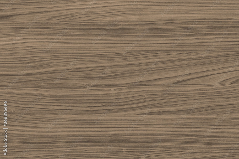 jacaranda timber tree wood grain structure texture background backdrop jacaranda timber tree wood grain structure texture background backdrop