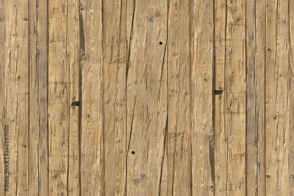 Fototapeta premium pine tree timber wood surface wallpaper structure texture background