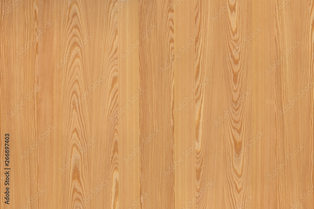 pine tree timber wood surface wallpaper structure texture background pine tree timber wood surface wallpaper structure texture background