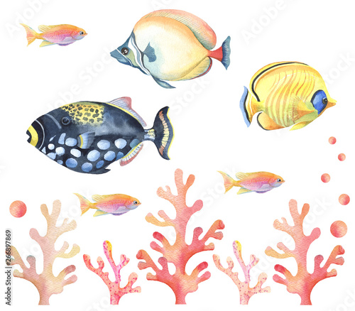 Seamless pattern with colorful tropical fish on white background