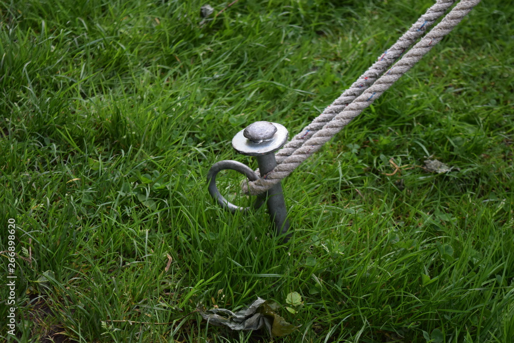 Obraz premium canel; 2