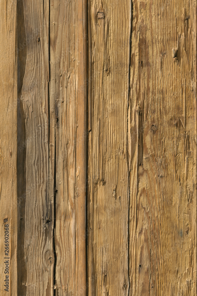 Naklejka premium pine tree timber wood surface wallpaper structure texture background