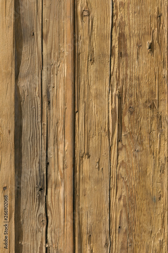 pine tree timber wood surface wallpaper structure texture background