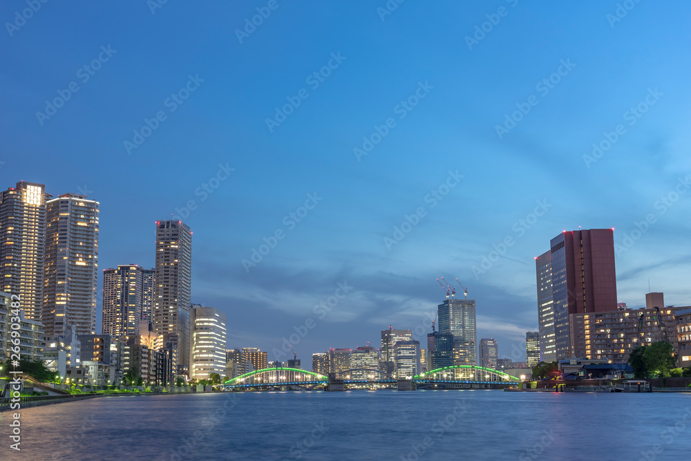 Fototapeta premium 佃から望む隅田川沿いの夜景